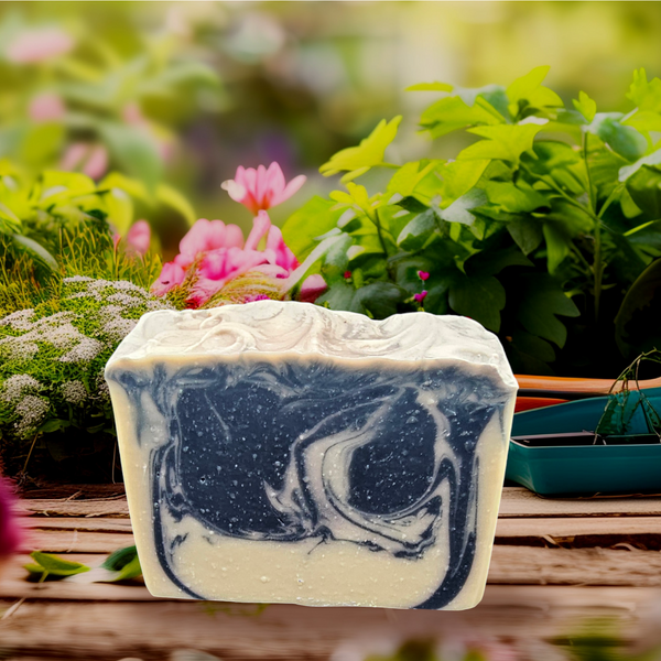 Vision (formerly known as "Rai"